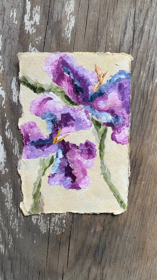 Iris 3 - Original Oil Painting