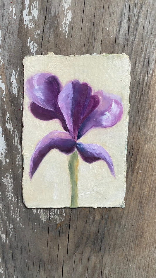 Iris 4 - Original Oil Painting