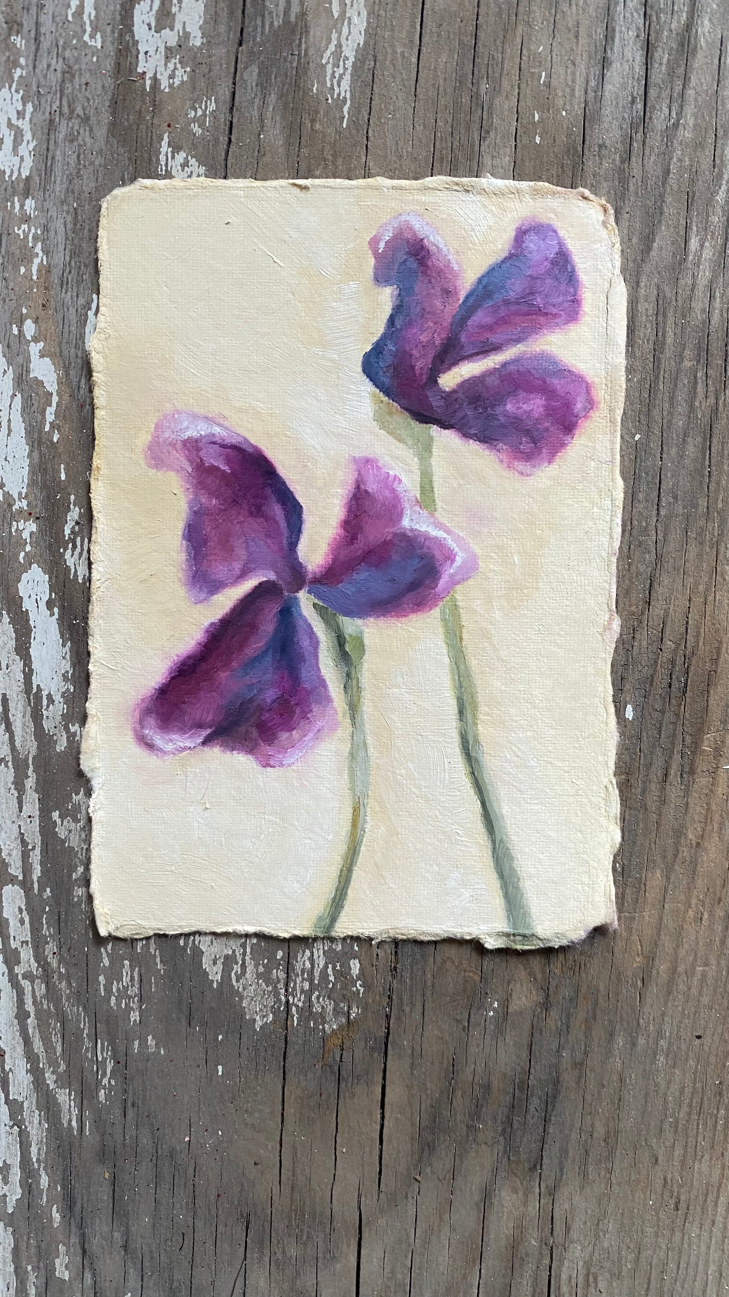 Iris 5 - Original Oil Painting