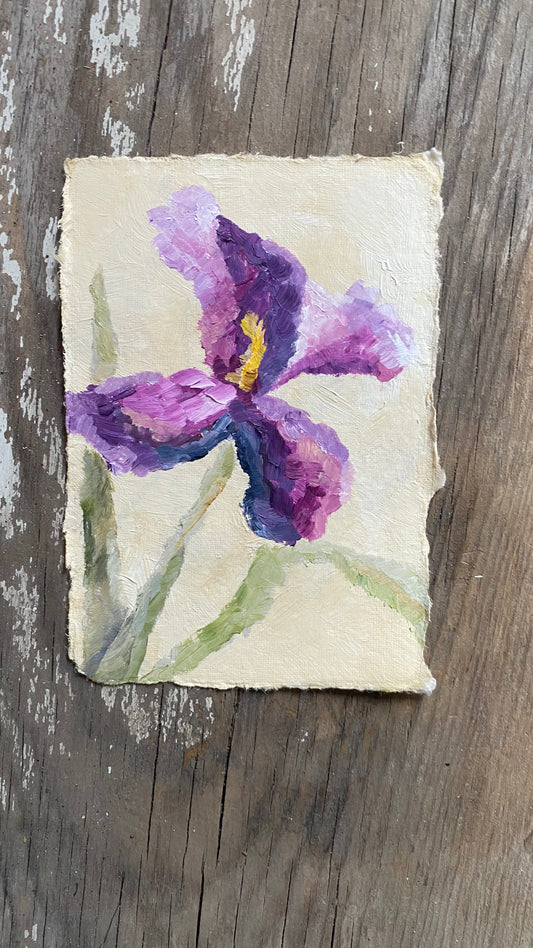 Iris 6 - Original Oil Painting