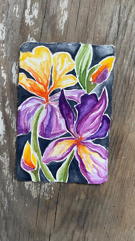 Vibrant Iris - Original Watercolor Painting