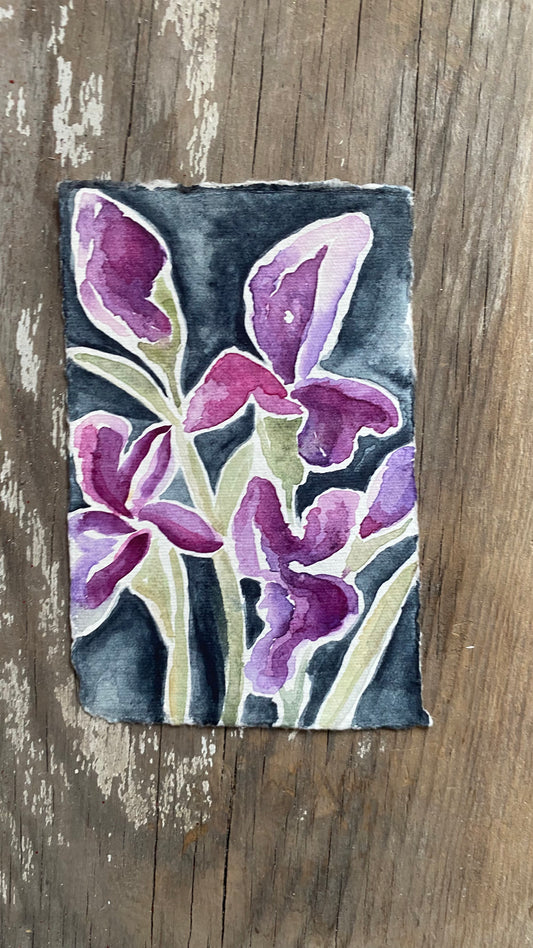 Purple Irises - Original Watercolor Painting